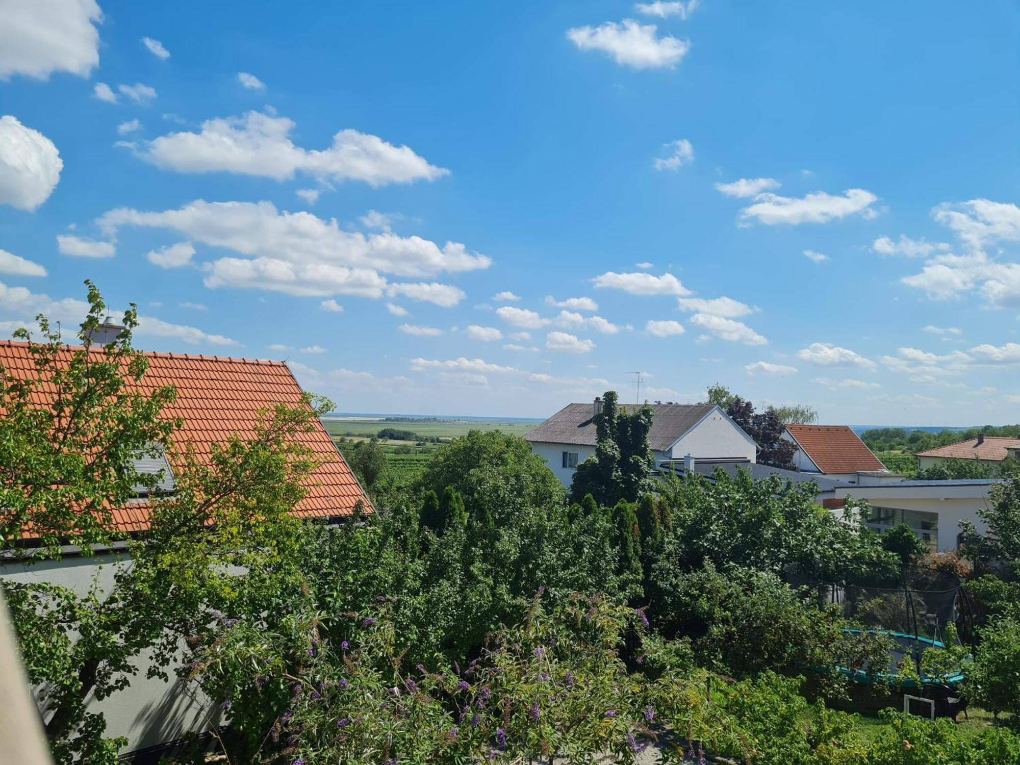 Ferienwohnungen Oedenburgerhof Мербише-ам-Зее Экстерьер фото